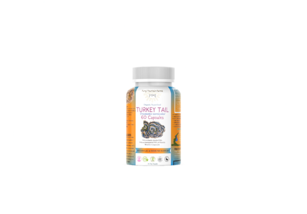 Turkey Tail (Trametes versicolor) Mushroom Capsules - Image 4