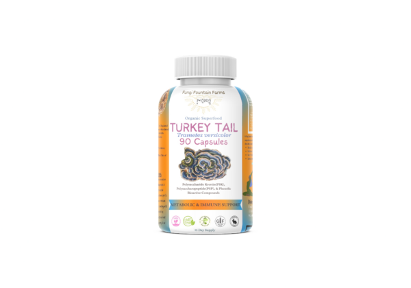 Turkey Tail (Trametes versicolor) Mushroom Capsules - Image 2